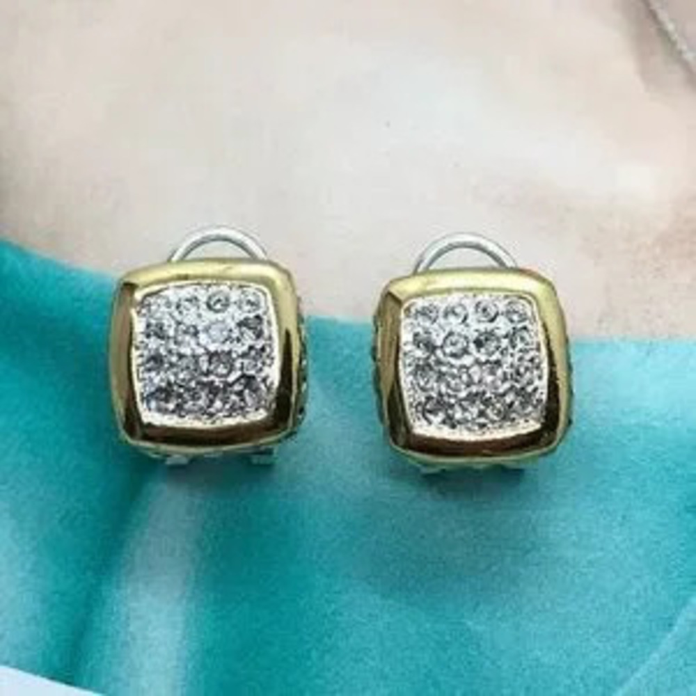 Silver Gold Earrings